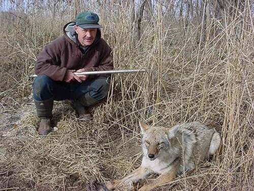 Bob Wendt - Coyote Trapping