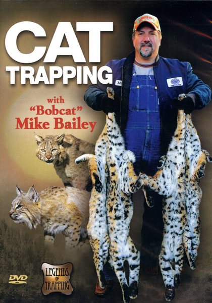 Bailey - Cat Trapping