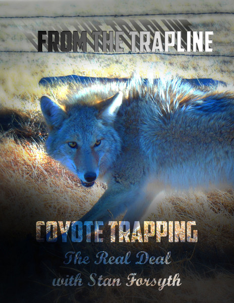 Forsyth DVD - From the Trapline - Coyote Trapping