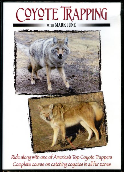 June - Coyote Trapping - DVD by Mark June