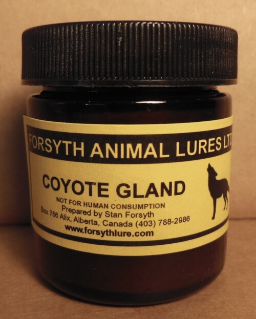 Forsyth Animal Lure - Coyote Gland Lure  (2 oz)