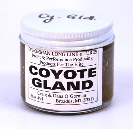 O'Gorman Lure - Coyote Gland  (2 Oz )