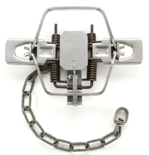 Duke # 2 Coil Trap - Square Jaw