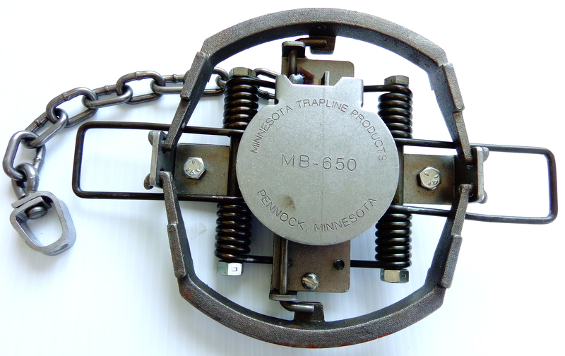 MB 650 Coyote Trap - Cast Jaw