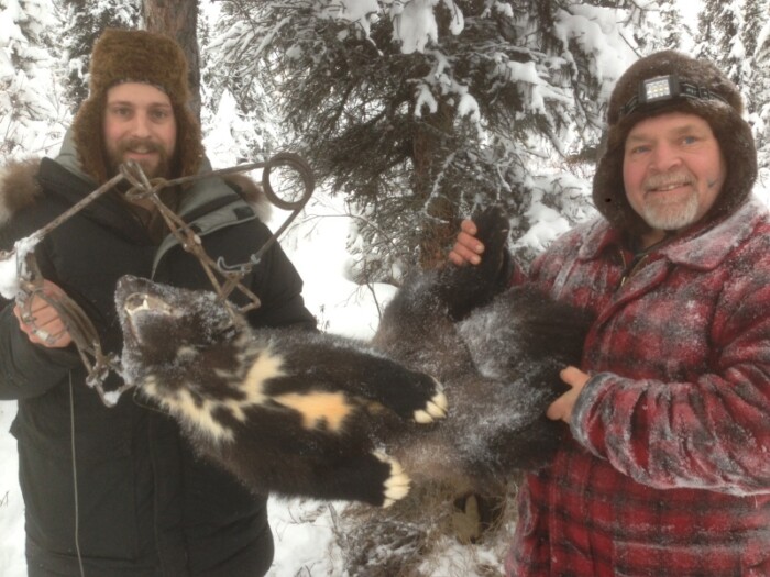 K. Barnhart with Trapping Partner showing off some of their Wolverine Catch