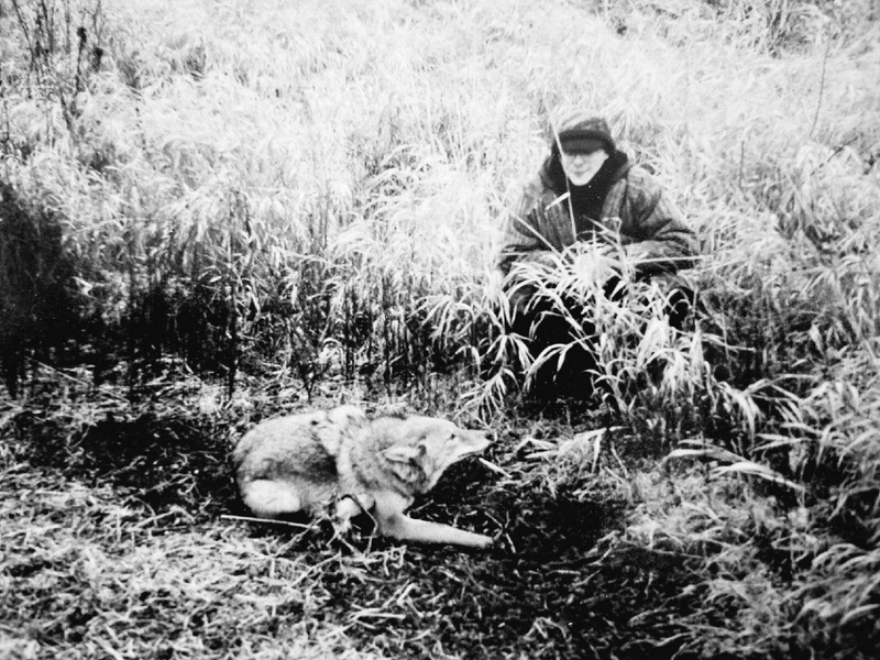 Early years Coyote trapping.